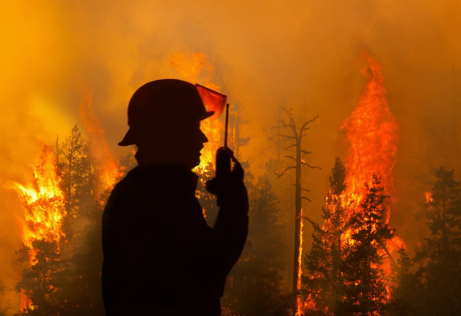 Firefighter using a radio during a wildland fire response